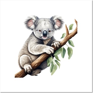 Koala In Australia Posters and Art
